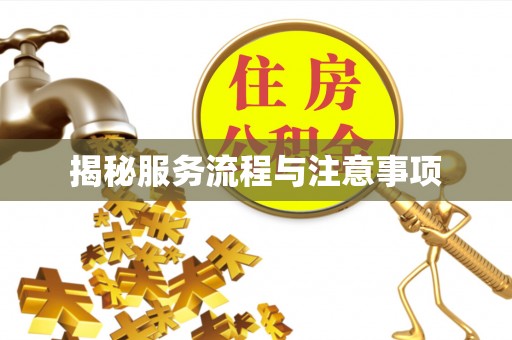 清城揭秘服务流程与注意事项