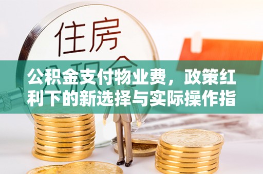 清城公积金支付物业费，政策红利下的新选择与实际操作指南