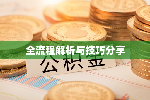清城全流程解析与技巧分享